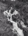 Mountain spring