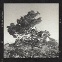 Hutchins_Juniper_Shell_Mt