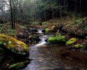 Ansley Hollow