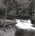 Wykoff Run