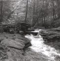 Wykoff Run