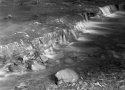 Wolf Creek
