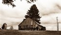 Near Clatskanie