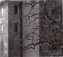 SouthLawn Building, Riverview