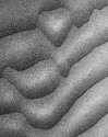 Dune_Detail