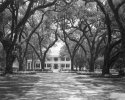 Lost and Found: Southern Plantation