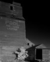 Lepine Elevator SK