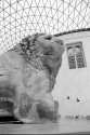 Brit Museum 04