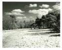 March Infrared print #1