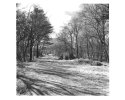 March Infrared print #2