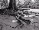 Angkor Thom, roots and ruina