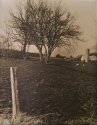 Frank's Farm