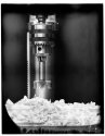 Wood Chips And Bit