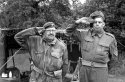 Dreadful Salute !