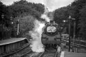 Steam approches