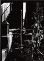 Cebolla