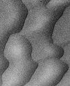 Dune Detail 2