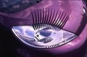 Dynax 40 Lashes
