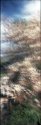 Egelbeek #03 (MSA May/June 2016)
