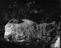 Hand-Coated Dry Plate: Bag Bricks And Rocks