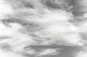 Clouds_shameless Copy850