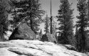 Yosemite Lone Pine