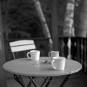 My Own World ~ July/August Monthly Shooting Assignment