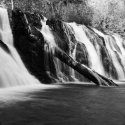 Beaverfalls