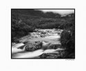 Goldstream