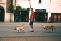 X-700 RVP : Dog Walking
