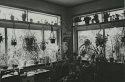 MSA- Your Own World: My  Sunroom