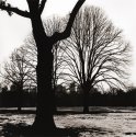 Winter's Grip