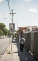 Old man of Marrickville