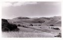 Petaluma Hills