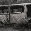 Kyrkö mosse, 3