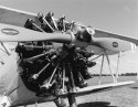 Stearman Frontal-2