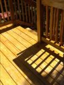 Fall Shadows