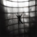 Freefall