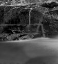 Afton Creek