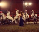 1970's Circus 01
