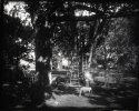 Dry Plate - Zip Line