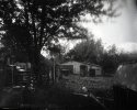 Dry Plate - Barn