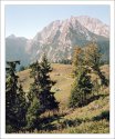 Alpine meadow and Watzmann eastern wall