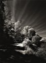 Pathway