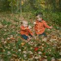 Cousins