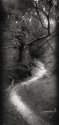 Serpents Lair