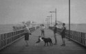 Dogs And Men.