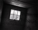 Window_2