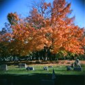 Fall in the Cemetary
