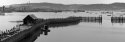 Quiet Harbor